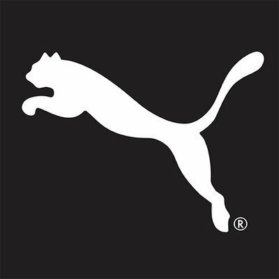 puma puma